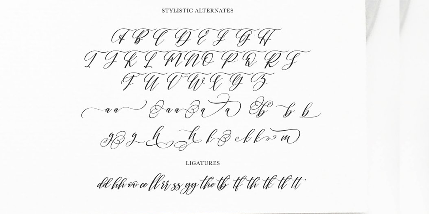 Przykład czcionki Shington Script Regular